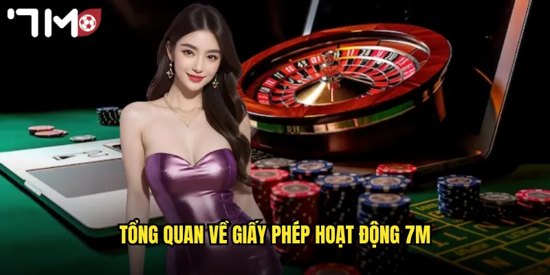 Tổng quan về giấy phép hoạt động 7m