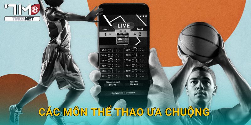 Các môn thể thao ưa chuộng